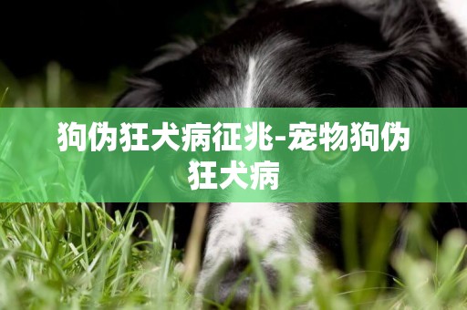 狗偽狂犬病征兆-寵物狗偽狂犬病