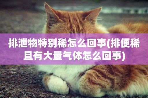 排泄物特別稀怎么回事(排便稀且有大量氣體怎么回事)