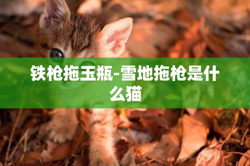 鐵槍拖玉瓶-雪地拖槍是什么貓