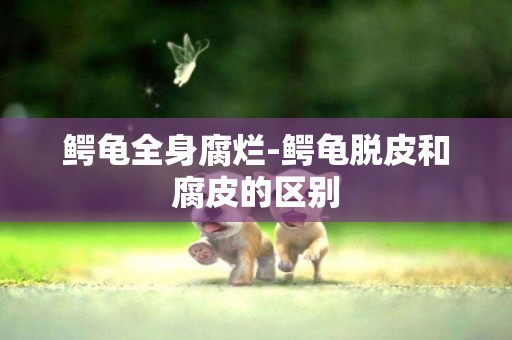 鱷龜全身腐爛-鱷龜脫皮和腐皮的區別