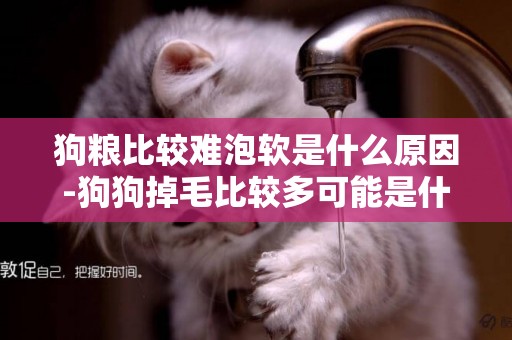 狗糧比較難泡軟是什么原因-狗狗掉毛比較多可能是什么原因