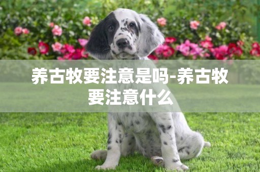 養古牧要注意是嗎-養古牧要注意什么