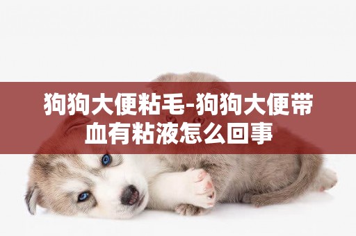 狗狗大便粘毛-狗狗大便帶血有粘液怎么回事