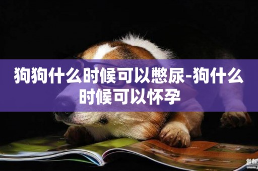 狗狗什么時候可以憋尿-狗什么時候可以懷孕