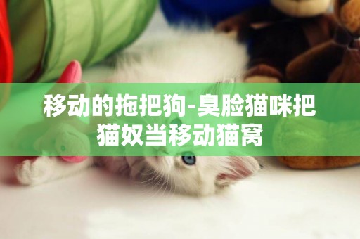 移動的拖把狗-臭臉貓咪把貓奴當移動貓窩