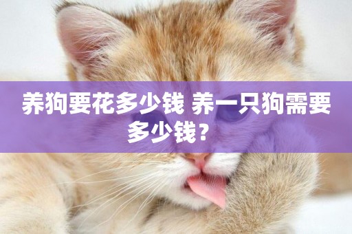 養狗要花多少錢 養一只狗需要多少錢？ 