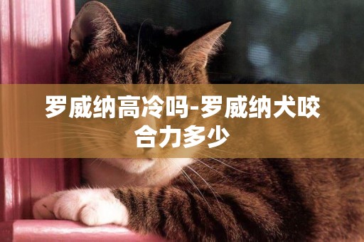 羅威納高冷嗎-羅威納犬咬合力多少