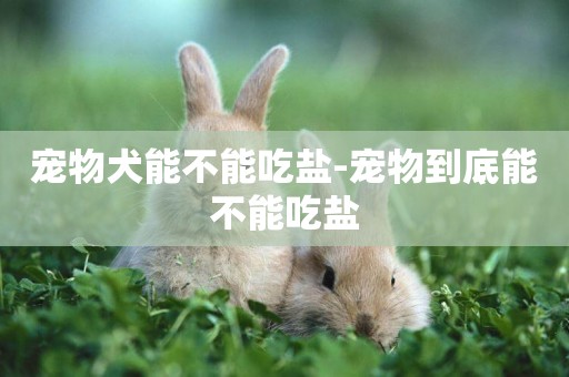寵物犬能不能吃鹽-寵物到底能不能吃鹽
