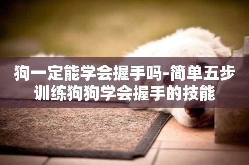 狗一定能學會握手嗎-簡單五步訓練狗狗學會握手的技能