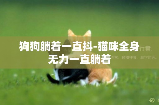 狗狗躺著一直抖-貓咪全身無力一直躺著