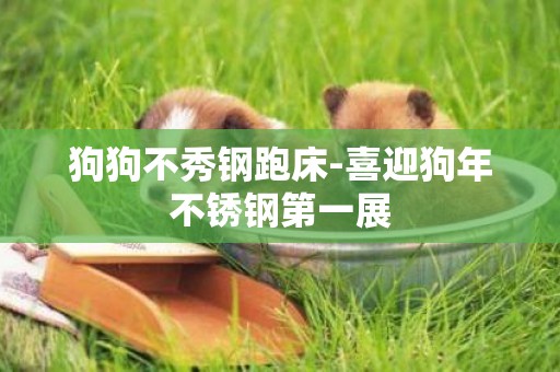 狗狗不秀鋼跑床-喜迎狗年不銹鋼第一展