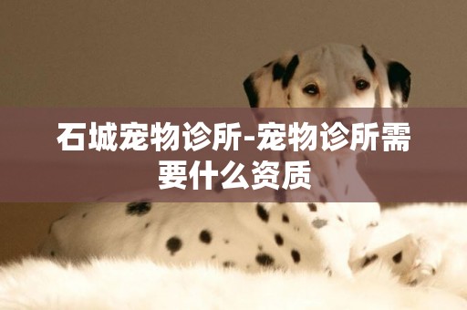 石城寵物診所-寵物診所需要什么資質