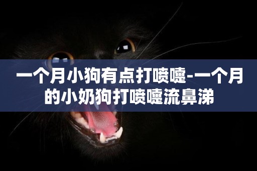 一個月小狗有點打噴嚏-一個月的小奶狗打噴嚏流鼻涕