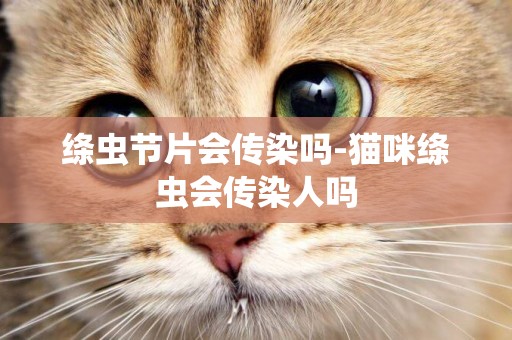 絳蟲節片會傳染嗎-貓咪絳蟲會傳染人嗎