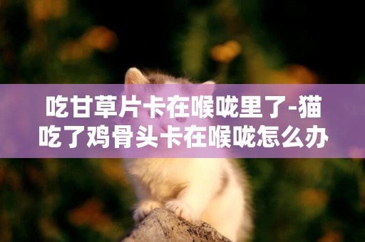 吃甘草片卡在喉嚨里了-貓吃了雞骨頭卡在喉嚨怎么辦