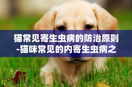 貓常見寄生蟲病的防治原則-貓咪常見的內寄生蟲病之弓形蟲病的防治方法