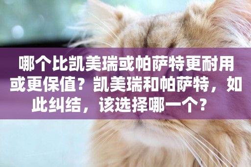 哪個比凱美瑞或帕薩特更耐用或更保值？凱美瑞和帕薩特，如此糾結，該選擇哪一個？ 