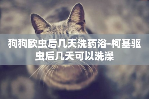 狗狗歐蟲后幾天洗藥浴-柯基驅蟲后幾天可以洗澡