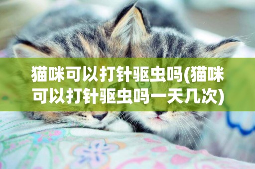 貓咪可以打針驅蟲嗎(貓咪可以打針驅蟲嗎一天幾次)