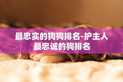 最忠實的狗狗排名-護主人最忠誠的狗排名