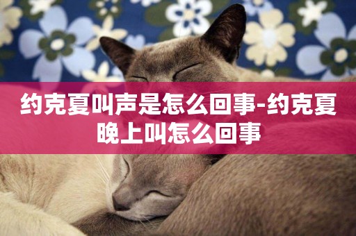 約克夏叫聲是怎么回事-約克夏晚上叫怎么回事
