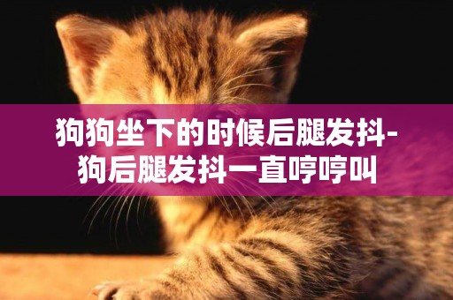狗狗坐下的時候后腿發抖-狗后腿發抖一直哼哼叫