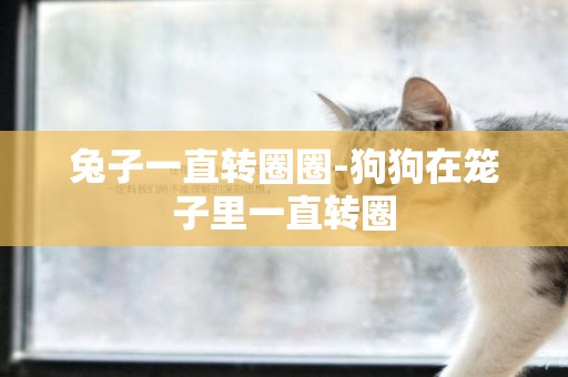兔子一直轉圈圈-狗狗在籠子里一直轉圈