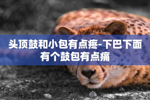 頭頂鼓和小包有點疼-下巴下面有個鼓包有點痛