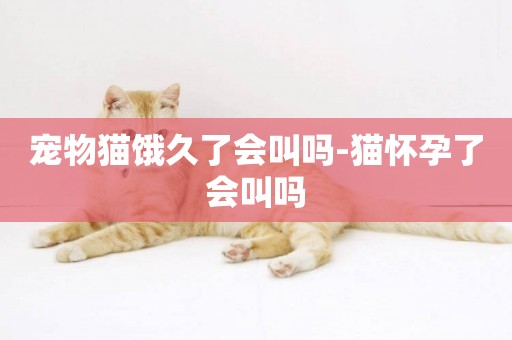 寵物貓餓久了會叫嗎-貓懷孕了會叫嗎