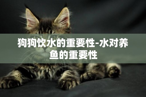 狗狗飲水的重要性-水對養魚的重要性