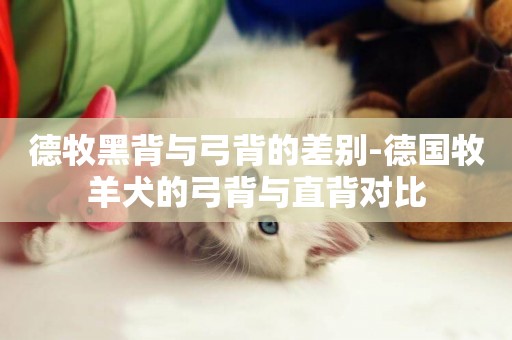 德牧黑背與弓背的差別-德國牧羊犬的弓背與直背對比
