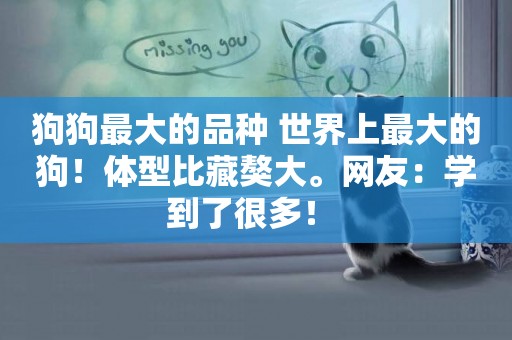 狗狗最大的品種 世界上最大的狗！體型比藏獒大。網友：學到了很多！ 