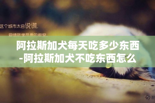 阿拉斯加犬每天吃多少東西-阿拉斯加犬不吃東西怎么辦