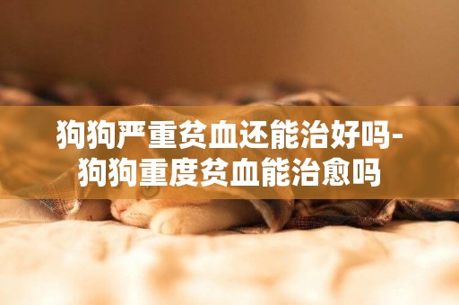 狗狗嚴重貧血還能治好嗎-狗狗重度貧血能治愈嗎