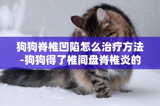 狗狗脊椎凹陷怎么治療方法-狗狗得了椎間盤脊椎炎的癥狀及治療方法