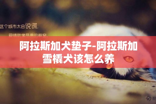 阿拉斯加犬墊子-阿拉斯加雪橇犬該怎么養
