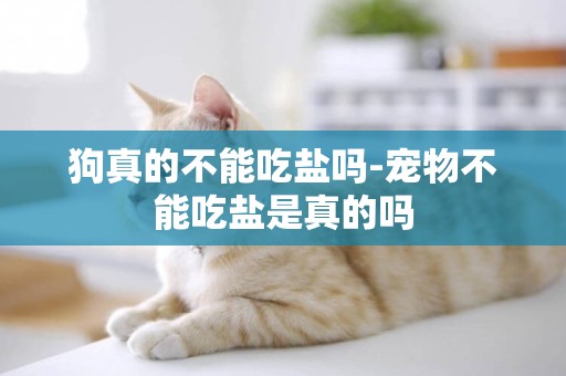 狗真的不能吃鹽嗎-寵物不能吃鹽是真的嗎