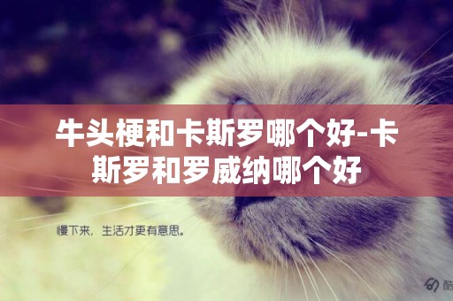牛頭梗和卡斯羅哪個好-卡斯羅和羅威納哪個好
