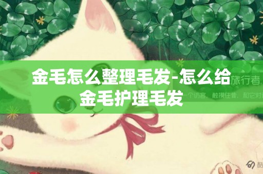 金毛怎么整理毛發-怎么給金毛護理毛發