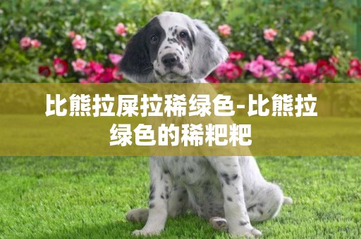 比熊拉屎拉稀綠色-比熊拉綠色的稀粑粑