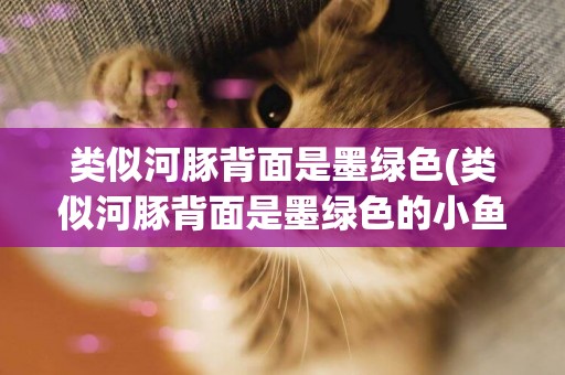 類似河豚背面是墨綠色(類似河豚背面是墨綠色的小魚)