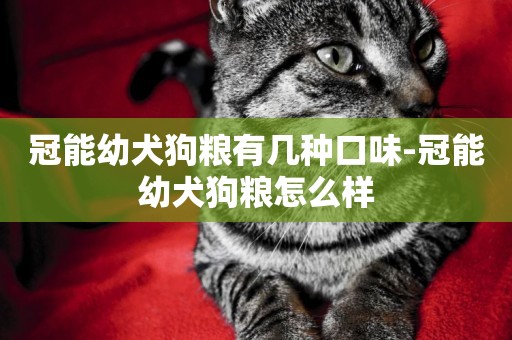 冠能幼犬狗糧有幾種口味-冠能幼犬狗糧怎么樣