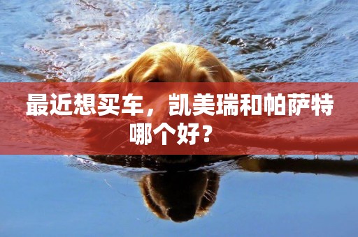 最近想買車，凱美瑞和帕薩特哪個好？ 