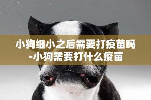 小狗細小之后需要打疫苗嗎-小狗需要打什么疫苗