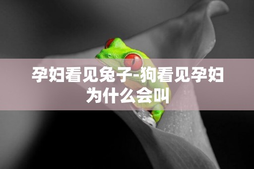 孕婦看見兔子-狗看見孕婦為什么會叫