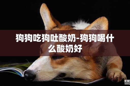 狗狗吃狗吐酸奶-狗狗喝什么酸奶好