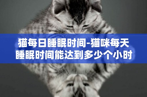 貓每日睡眠時間-貓咪每天睡眠時間能達到多少個小時