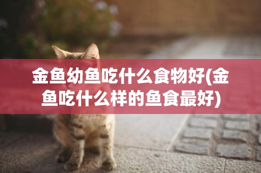 金魚幼魚吃什么食物好(金魚吃什么樣的魚食最好)