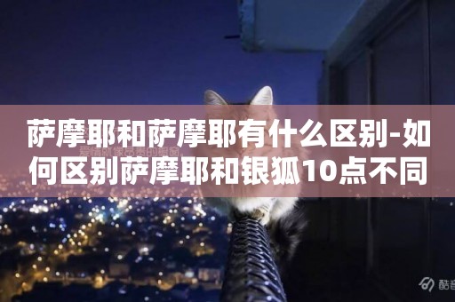 薩摩耶和薩摩耶有什么區別-如何區別薩摩耶和銀狐10點不同