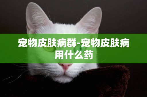 寵物皮膚病群-寵物皮膚病用什么藥